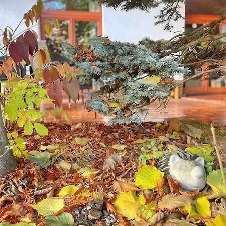 Kapina Sk - Dom Adrián Prázdninový dům *